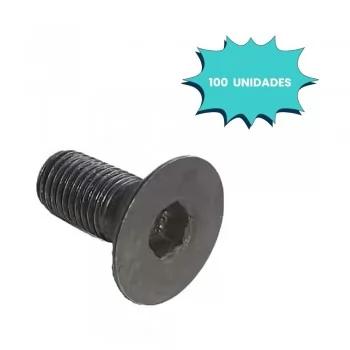 PARAFUSO ALLEN C/ CABECA CHATA 6 X 25MM MA ACO (CX 100 UNIDADES)